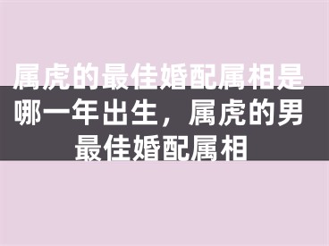 属虎的最佳婚配属相是哪一年出生，属虎的男最佳婚配属相