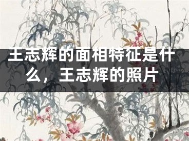 王志辉的面相特征是什么，王志辉的照片