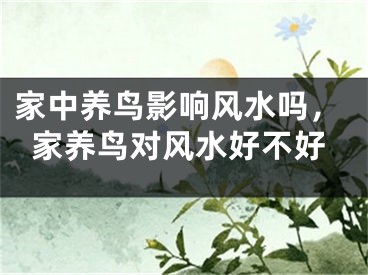 家中养鸟影响风水吗，家养鸟对风水好不好
