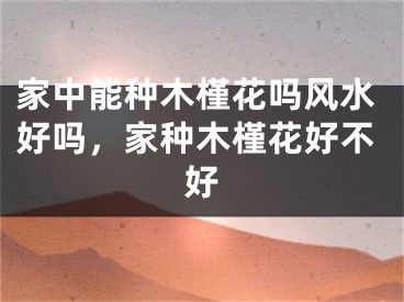 家中能种木槿花吗风水好吗，家种木槿花好不好