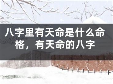 八字里有天命是什么命格,有天命的八字