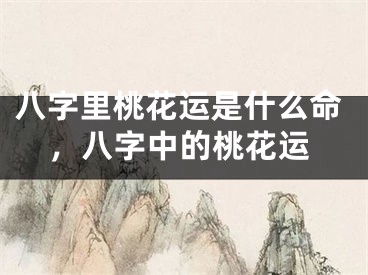 八字里桃花运是什么命，八字中的桃花运