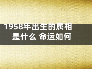 1958年出生的属相是什么 命运如何