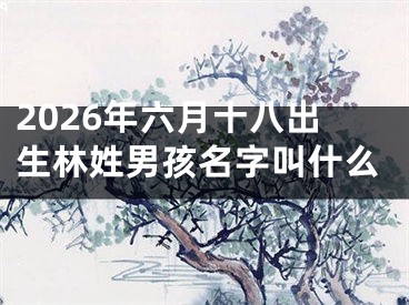 2026年六月十八出生林姓男孩名字叫什么