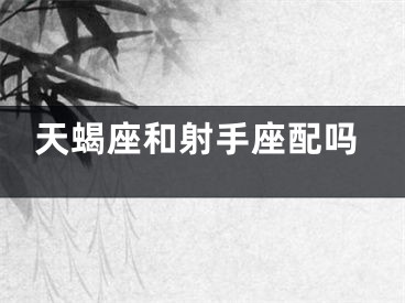 天蝎座和射手座配吗