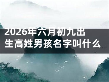 2026年六月初九出生高姓男孩名字叫什么