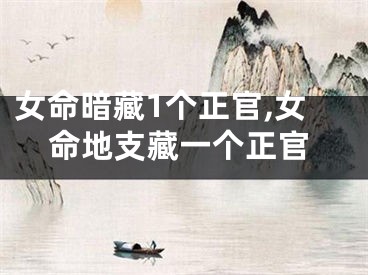 女命暗藏1个正官,女命地支藏一个正官