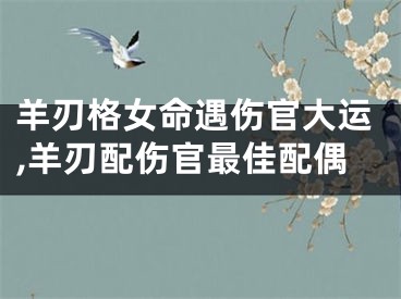 羊刃格女命遇伤官大运,羊刃配伤官最佳配偶