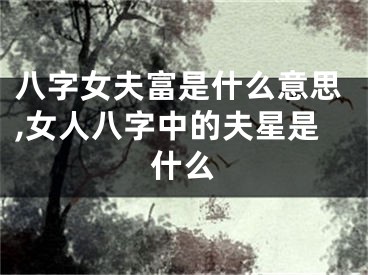 八字女夫富是什么意思,女人八字中的夫星是什么