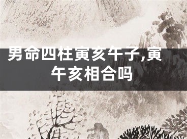 男命四柱寅亥午子,寅午亥相合吗