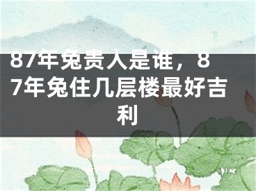 87年兔贵人是谁，87年兔住几层楼最好吉利
