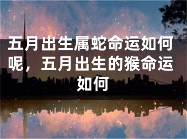 五月出生属蛇命运如何呢，五月出生的猴命运如何