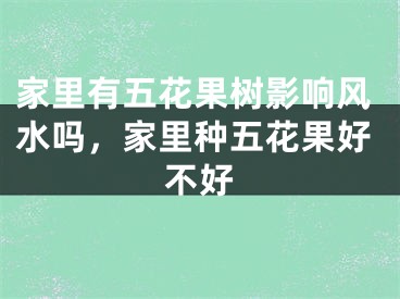 家里有五花果树影响风水吗，家里种五花果好不好
