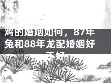 87年属兔和93年属鸡的婚姻如何,87年兔和88年龙配婚姻好不好