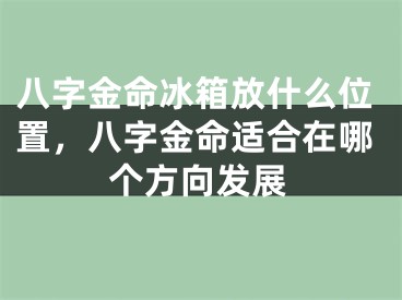 八字金命冰箱放什么位置，八字金命适合在哪个方向发展