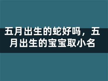 五月出生的蛇好吗，五月出生的宝宝取小名