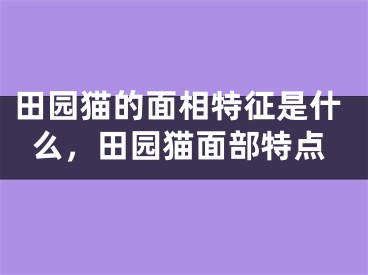 田园猫的面相特征是什么，田园猫面部特点