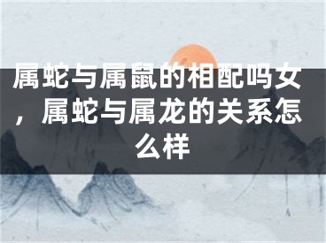 属蛇与属鼠的相配吗女，属蛇与属龙的关系怎么样