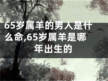 65岁属羊的男人是什么命,65岁属羊是哪年出生的