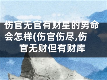 伤官无官有财星的男命会怎样(伤官伤尽,伤官无财但有财库