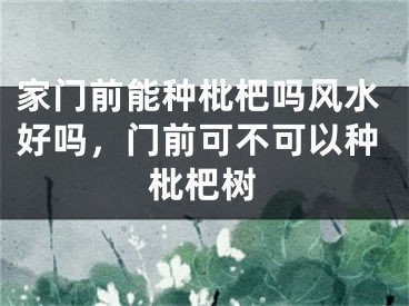 家门前能种枇杷吗风水好吗，门前可不可以种枇杷树