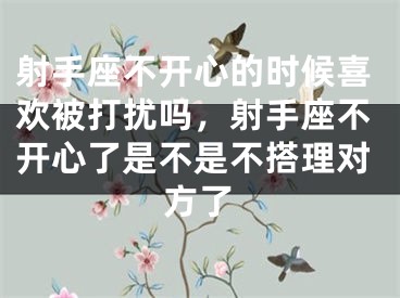 射手座不开心的时候喜欢被打扰吗，射手座不开心了是不是不搭理对方了