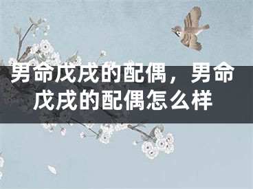 男命戊戌的配偶，男命戊戌的配偶怎么样