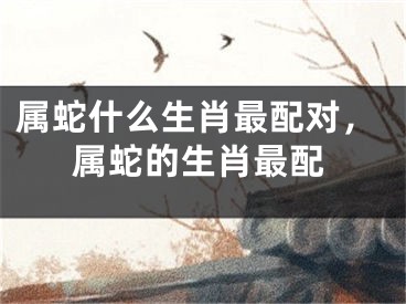 属蛇什么生肖最配对，属蛇的生肖最配