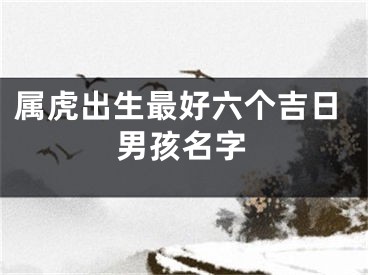 属虎出生最好六个吉日男孩名字