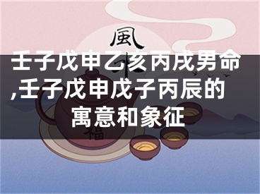 壬子戊申乙亥丙戌男命,壬子戊申戊子丙辰的寓意和象征