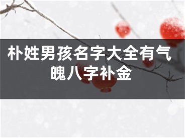 朴姓男孩名字大全有气魄八字补金