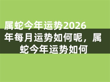属蛇今年运势2026年每月运势如何呢，属蛇今年运势如何