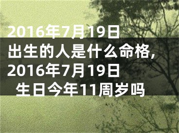 2016年7月19日出生的人是什么命格,2016年7月19日生日今年11周岁吗