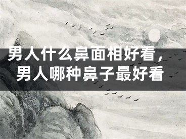 男人什么鼻面相好看，男人哪种鼻子最好看