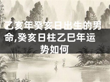 乙亥年癸亥日出生的男命,癸亥日柱乙巳年运势如何