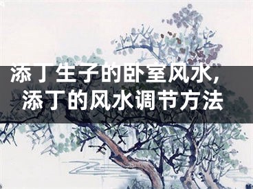 添丁生子的卧室风水,添丁的风水调节方法 