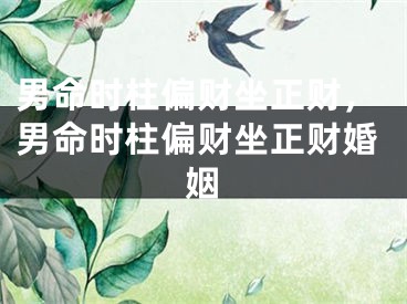 男命时柱偏财坐正财，男命时柱偏财坐正财婚姻