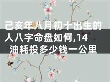 己亥年八月初十出生的人八字命盘如何,14油耗投多少钱一公里
