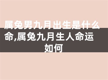 属兔男九月出生是什么命,属兔九月生人命运如何
