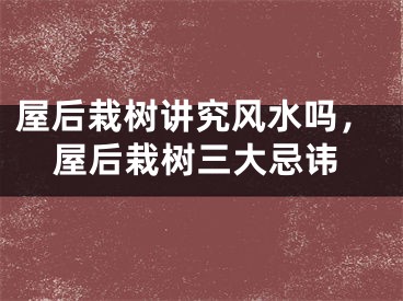 屋后栽树讲究风水吗，屋后栽树三大忌讳