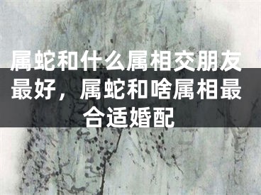 属蛇和什么属相交朋友最好，属蛇和啥属相最合适婚配