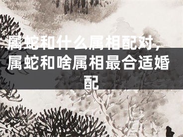 属蛇和什么属相配对，属蛇和啥属相最合适婚配
