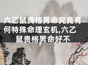 六乙鼠贵格男命究竟有何特殊命理玄机,六乙鼠贵格男命好不