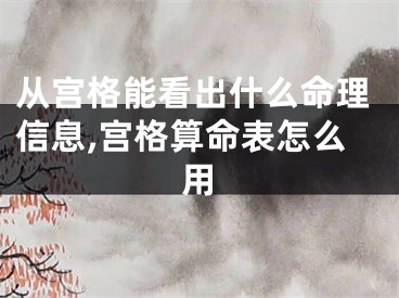从宫格能看出什么命理信息,宫格算命表怎么用