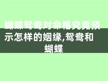 蝴蝶鸳鸯对命格究竟预示怎样的姻缘,鸳鸯和蝴蝶