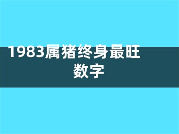 1983属猪终身最旺数字
