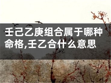 壬己乙庚组合属于哪种命格,壬乙合什么意思
