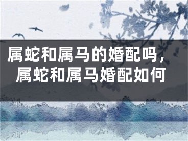 属蛇和属马的婚配吗，属蛇和属马婚配如何