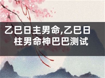 乙巳日主男命,乙巳日柱男命神巴巴测试