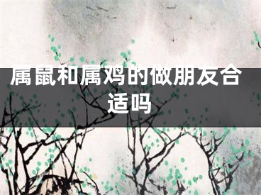属鼠和属鸡的做朋友合适吗
